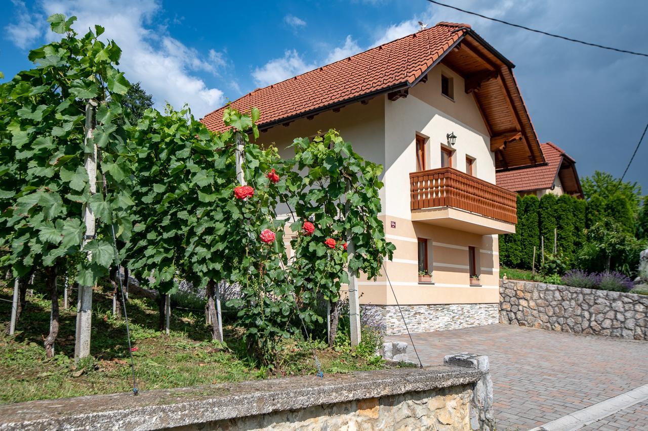 Vineyard Cottage Pod Piramido Dobrnic Exterior photo