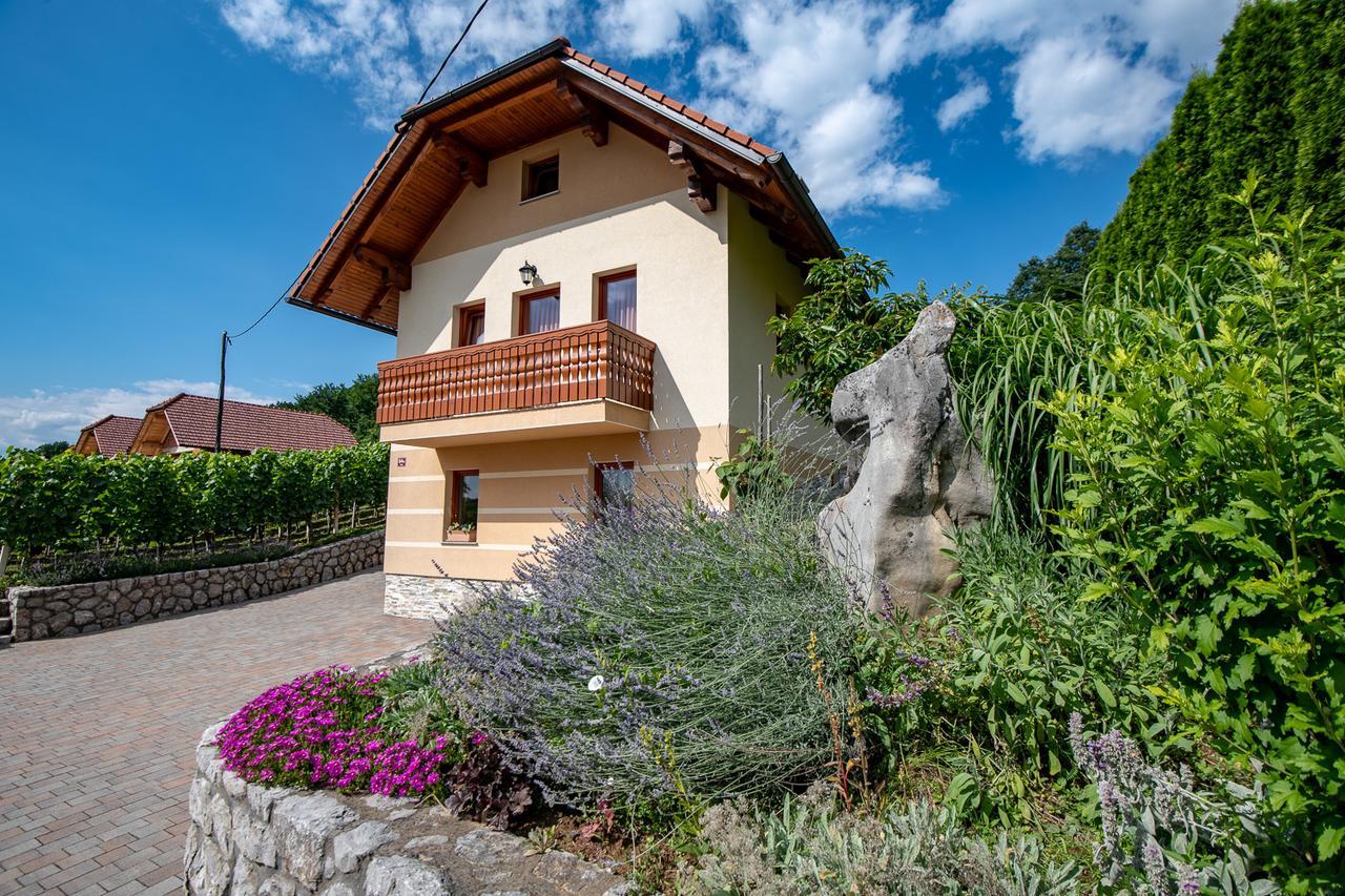 Vineyard Cottage Pod Piramido Dobrnic Exterior photo
